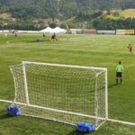 Porte pulcini 4 × 2 m in acciaio, mobili, coppia