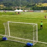 Porte pulcini 4 × 2 m in acciaio, mobili, coppia